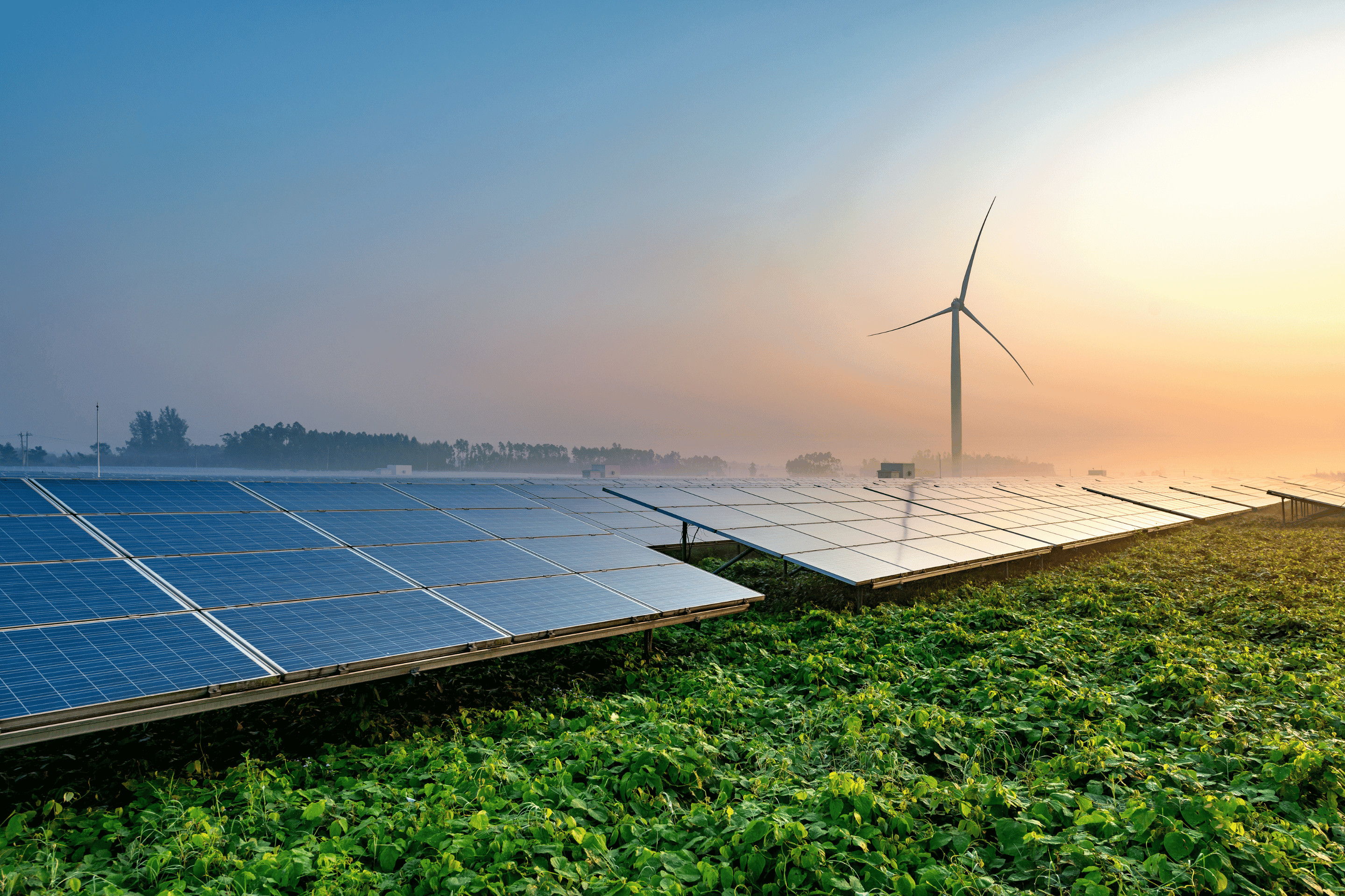 Solar farm and wind turbine at sunrise